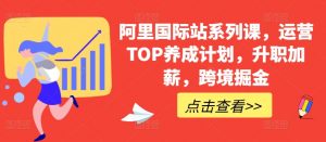 阿里国际站系列课，运营TOP养成计划，升职加薪，跨境掘金-最全资源库