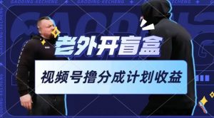 老外开盲盒视频，撸视频号分成计划收益，每天只需一小时，新手小白轻松上手【揭秘】-最全资源库