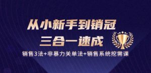 从小新手到销冠 三合一速成：销售3法+非暴力关单法+销售系统挖需课 (27节)-最全资源库