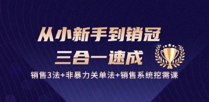 从小新手到销冠 三合一速成：销售3法+非暴力关单法+销售系统挖需课 (27节)-最全资源库