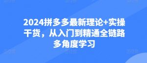 2024拼多多最新理论+实操干货,从入门到精通全链路多角度学习-最全资源库