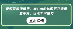 视频号搬运带货，满100粉丝即可开通橱窗带货，玩法非常暴力【揭秘】-最全资源库