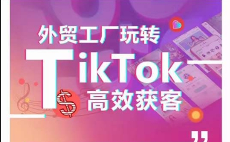 外贸工厂玩转TikTok高效获客，多种引流方式与账号定位技巧，拆解爆款短视频打造成功案例-最全资源库