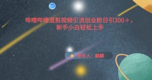 哔哩哔哩混剪视频引流创业粉日引300+,新手小白轻松上手【揭秘】-最全资源库