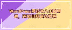 WordPress建站从入门到精通，跨境电商建站教程-最全资源库