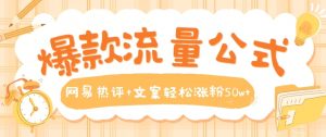 爆款流量公式，网易热评+文案轻松涨粉50w+【揭秘】-最全资源库