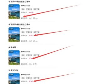 磁力聚星游戏副业陪跑训练营1.0,长期稳定项目,有人一周干了1K+-最全资源库