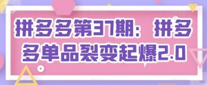 拼多多第37期：拼多多单品裂变起爆2.0-最全资源库