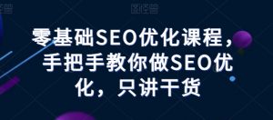 零基础SEO优化课程，手把手教你做SEO优化，只讲干货-最全资源库