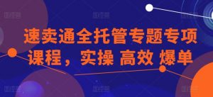 速卖通全托管专题专项课程，实操 高效 爆单-最全资源库