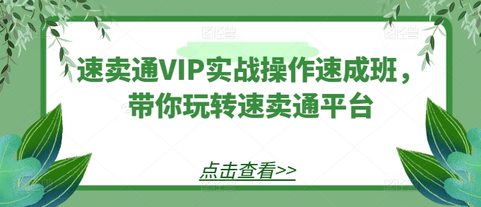 速卖通VIP实战操作速成班，带你玩转速卖通平台-最全资源库