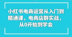 小红书电商运营从入门到精通课，电商店群实战，从0开始到学会-最全资源库