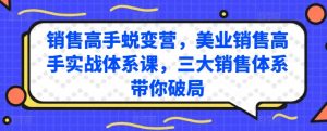 销售高手蜕变营,美业销售高手实战体系课,三大销售体系带你破局-最全资源库