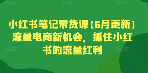 小红书笔记带货课【6月更新】流量电商新机会，抓住小红书的流量红利-最全资源库