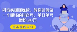 抖音实训训练营,教你如何做一个赚钱的抖音号,单日单号增粉30万-最全资源库