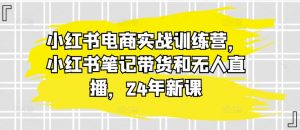 小红书电商实战训练营,小红书笔记带货和无人直播,24年新课-最全资源库