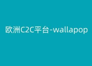 欧洲C2C平台-wallapop-kim跨境电商教程-最全资源库