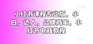 小红书课程专业版,小白,达人,品牌商家,小红书电商教程-最全资源库