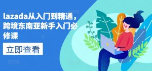 lazada从入门到精通，跨境东南亚新手入门必修课-最全资源库
