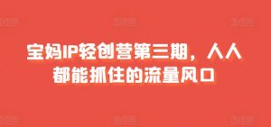 宝妈IP轻创营第三期，人人都能抓住的流量风口-最全资源库