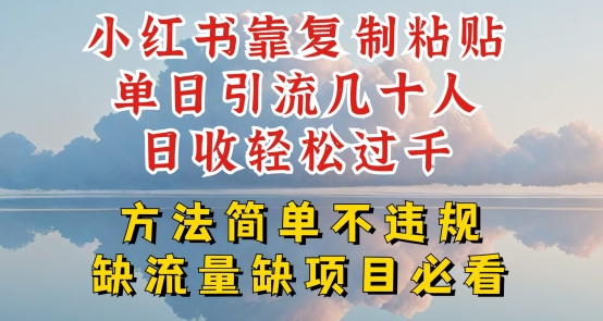 小红书靠复制粘贴单日引流几十人目收轻松过千，方法简单不违规【揭秘】-最全资源库