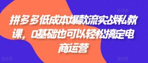 拼多多低成本爆款流实战私教课,0基础也可以轻松搞定电商运营-最全资源库