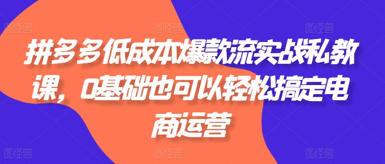 拼多多低成本爆款流实战私教课,0基础也可以轻松搞定电商运营-最全资源库