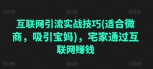 互联网引流实战技巧(适合微商，吸引宝妈)，宅家通过互联网赚钱-最全资源库