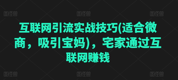 互联网引流实战技巧(适合微商，吸引宝妈)，宅家通过互联网赚钱-最全资源库