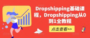 Dropshipping基础课程，Dropshipping从0到1全教程-最全资源库