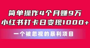 简单操作4个月赚9w，小红书打卡日变现1k，一个被忽视的暴力项目【揭秘】-最全资源库