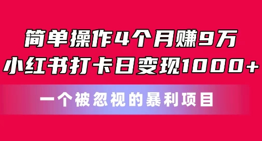 简单操作4个月赚9w，小红书打卡日变现1k，一个被忽视的暴力项目【揭秘】-最全资源库