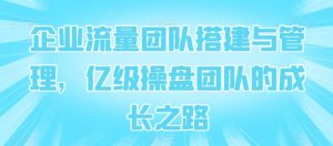 企业流量团队搭建与管理,亿级操盘团队的成长之路-最全资源库