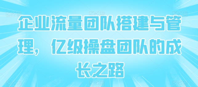 企业流量团队搭建与管理,亿级操盘团队的成长之路-最全资源库