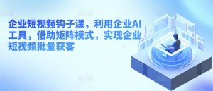 企业短视频钩子课,利用企业AI工具,借助矩阵模式,实现企业短视频批量获客-最全资源库