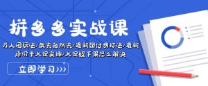 拼多多实战课：万人团玩法/截流自然流/最新强付费打法/最新原价卡大促..-最全资源库