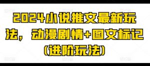2024小说推文最新玩法，动漫剧情+图文标记(进阶玩法)-最全资源库