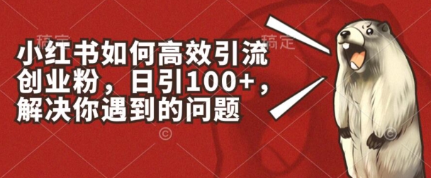 小红书如何高效引流创业粉,日引100+,解决你遇到的问题【揭秘】-最全资源库
