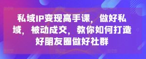 私域IP变现高手课，做好私域，被动成交，教你如何打造好朋友圈做好社群-最全资源库