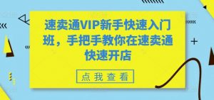 速卖通VIP新手快速入门班，手把手教你在速卖通快速开店-最全资源库