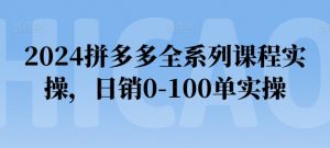 2024拼多多全系列课程实操,日销0-100单实操【必看】-最全资源库