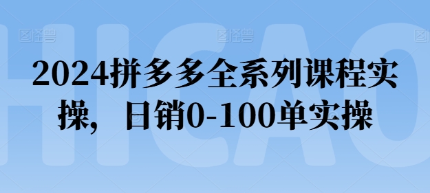 2024拼多多全系列课程实操,日销0-100单实操【必看】-最全资源库