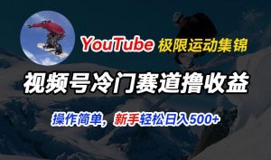 视频号冷门赛道撸收益，YouTube搬运极限运动集锦，暴力起号，操作简单流量高，轻松日入5张【揭秘】-最全资源库