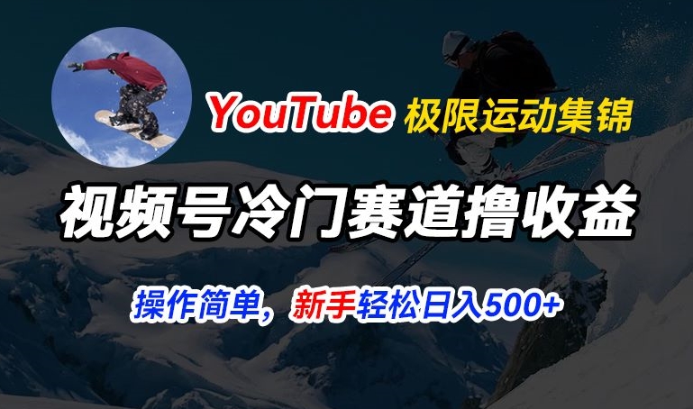 视频号冷门赛道撸收益，YouTube搬运极限运动集锦，暴力起号，操作简单流量高，轻松日入5张【揭秘】-最全资源库