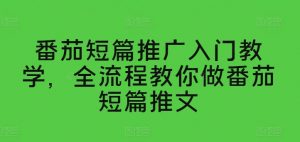 番茄短篇推广入门教学，全流程教你做番茄短篇推文-最全资源库