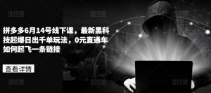 拼多多6月14号线下课，最新黑科技起爆日出千单玩法，0元直通车如何起飞一条链接-最全资源库