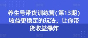 养生号带货训练营(第13期)收益更稳定的玩法，让你带货收益爆炸-最全资源库