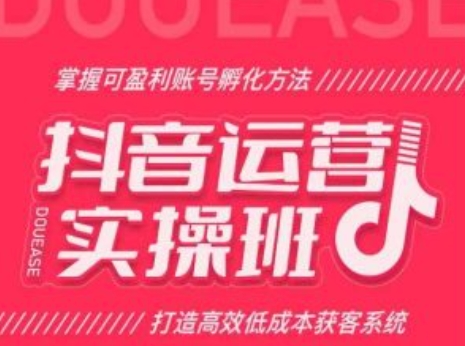 抖音运营实操班,掌握可盈利账号孵化方法,打造高效低成本获客系统-最全资源库