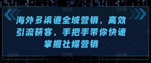 海外多渠道全域营销,高效引流获客,手把手带你快速掌握社媒营销-最全资源库