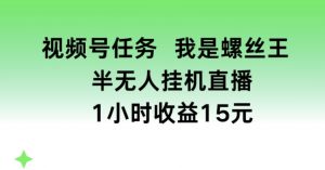 视频号任务，我是螺丝王， 半无人挂机1小时收益15元【揭秘】-最全资源库